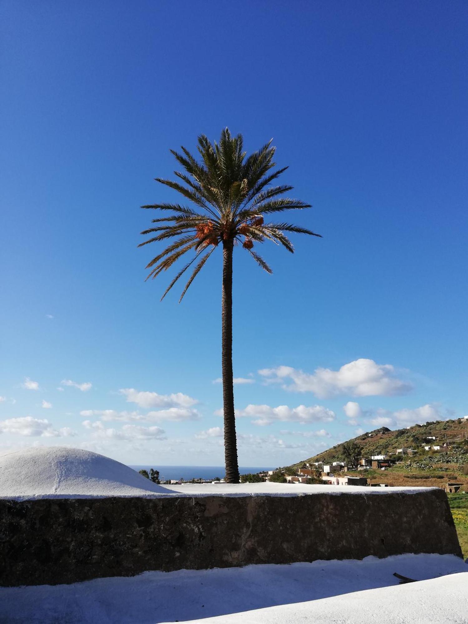 Il Mulino Di Scauri Villa Scauri  Dış mekan fotoğraf